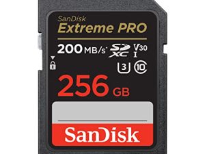 بطاقة ذاكرة SanDisk Extreme PRO SDXC UHS-I بسعة 256 جيجا بايت - C10 ، U3 ، V30 ، 4K UHD ، بطاقة SD - SDSDXXD-256G-GN4IN