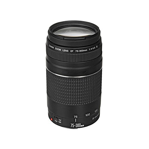 كانون EF 75-300mm f / 4-5.6 III عدسة تكبير Telephoto لكاميرات كانون SLR كانون EF 75-300mm f / 4-5.6 III عدسة تكبير Telephoto لكاميرات كانون SLR